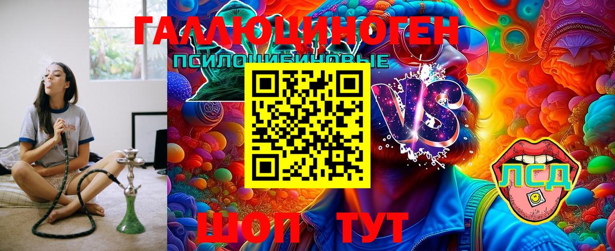 Губкин  Псилоцибиновые грибы мухоморы  Вход с VPN 